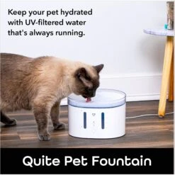 Geeni PetConnect UV Sterilized Circulating Water Smart Dog & Cat Fountain, 2-L -PetSafe Shop Sale 811790 PT4. AC SS1800 V1688759852