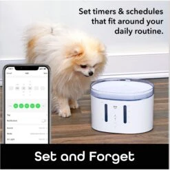 Geeni PetConnect UV Sterilized Circulating Water Smart Dog & Cat Fountain, 2-L -PetSafe Shop Sale 811790 PT5. AC SS1800 V1688761211