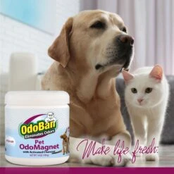 OdoBan OdoMagnet Pet Odor Eliminator Fresh Air Activated Charcoal Deodorizer, 14-oz Jar 7 OdoBan OdoMagnet Pet Odor Eliminator Fresh Air Activated Charcoal Deodorizer, 14-oz Jar -PetSafe Shop Sale 819166 PT3. AC SS1800 V1681313132