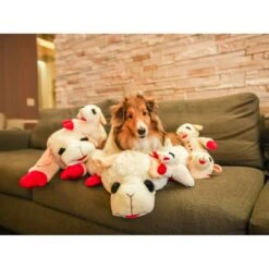 Multipet Lamb Chop Bolster Cat & Dog Bed With Removable Cover 9 Multipet Lamb Chop Bolster Cat & Dog Bed With Removable Cover -PetSafe Shop Sale 821390 PT4. AC SS1800 V1684329715