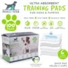 Pounce + Fetch Ultra Absorbent Dog Training Pads