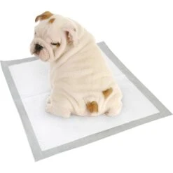 Pounce + Fetch Ultra Absorbent Dog Training Pads -PetSafe Shop Sale 821510 PT3. AC SS1800 V1681249014