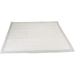 Pounce + Fetch Extra Large Ultra Absorbing Dog Training Pads, 50 Count -PetSafe Shop Sale 821526 PT2. AC SS1800 V1681313158