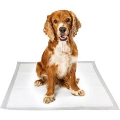 Pounce + Fetch Extra Large Ultra Absorbing Dog Training Pads, 50 Count -PetSafe Shop Sale 821526 PT3. AC SS1800 V1681318154