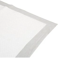 Pounce + Fetch Extra Large Ultra Absorbing Dog Training Pads, 50 Count -PetSafe Shop Sale 821526 PT4. AC SS1800 V1682018059