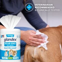 Vetnique Labs Glandex Wipes Rear End Anal Gland Cleansing & Deodorizing Hygienic Rear End Boot The Scoot Dog & Cat Wipes & Frisco Disposable Male Dog Wraps -PetSafe Shop Sale 826454 PT4. AC SS1800 V1682018155