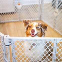 MyPet Plastic Dog Pet Yard -PetSafe Shop Sale 83650 PT5. AC SS1800 V1667330821