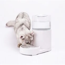 Hanamya Automatic Water Dispenser With 3 Liter Capacity Dog & Cat Waterer, White -PetSafe Shop Sale 838830 PT2. AC SS1800 V1682371270