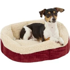 Aspen Pet Self-Warming Bolster Cat & Dog Bed, Warm Spice/Cream -PetSafe Shop Sale 83889 PT3. AC SS1800 V1566315440