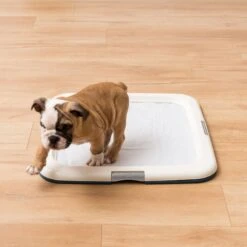 IRIS USA Non-skid Dog Plastic Training Pad Holder -PetSafe Shop Sale 846670 PT4. AC SS1800 V1683834871