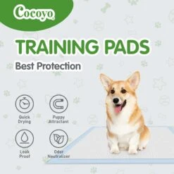 COCOYO Dog Training Pads, 30-in X 36-in, 40 Count -PetSafe Shop Sale 846742 PT3. AC SS1800 V1694726713
