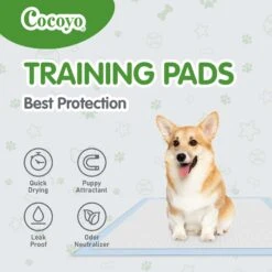 COCOYO Best Value Dog Training Pad, 22-in X 22-in, 50 Count -PetSafe Shop Sale 846758 PT3. AC SS1800 V1694726713