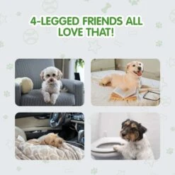 COCOYO Best Value Dog Training Pad, 22-in X 22-in, 50 Count -PetSafe Shop Sale 846758 PT5. AC SS1800 V1694726713