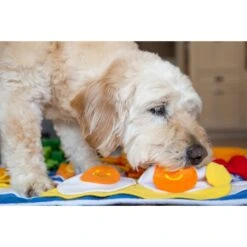 Injoya Breakfast Cat & Dog Snuffle Mat, Blue, Large 5 Injoya Breakfast Cat & Dog Snuffle Mat, Blue, Large -PetSafe Shop Sale 848038 PT2. AC SS1800 V1683732043