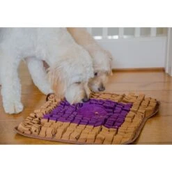 Injoya PB & J Cat & Dog Snuffle Mat, Brown, Medium -PetSafe Shop Sale 848102 PT2. AC SS1800 V1684421062