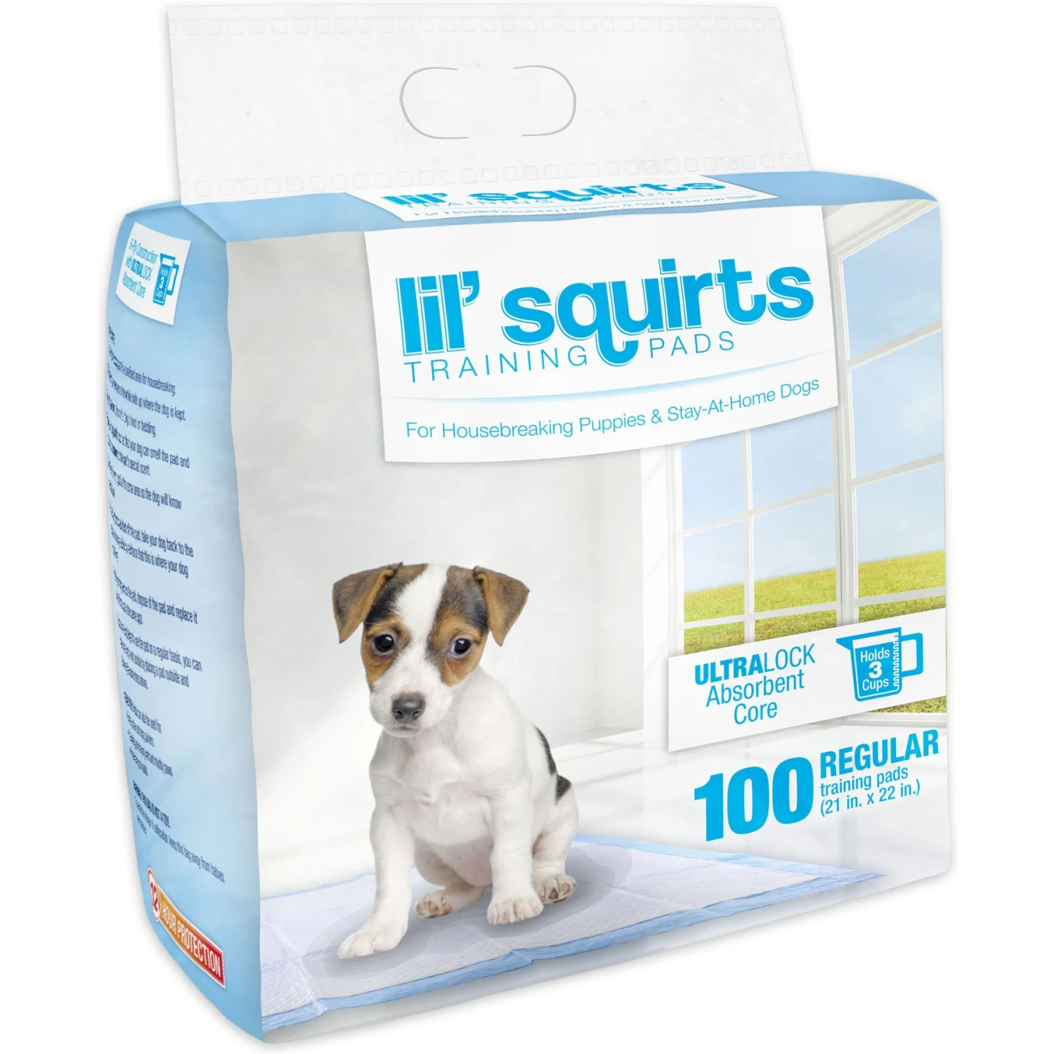 Lil' Squirts Dog Training Pads, 100 Count 1 Lil' Squirts Dog Training Pads, 100 Count