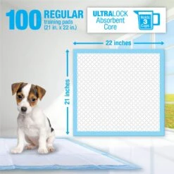 Lil' Squirts Dog Training Pads, 100 Count 5 Lil' Squirts Dog Training Pads, 100 Count -PetSafe Shop Sale 853878 PT2. AC SS1800 V1686330228