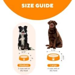 Outward Hound Fun Feeder Interactive Dog Bowl, Orange -PetSafe Shop Sale 85929 PT4. AC SS1800 V1694286040