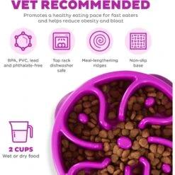 Outward Hound Fun Feeder Interactive Dog Bowl, Purple -PetSafe Shop Sale 85933 PT2. AC SS1800 V1694286650