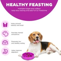 Outward Hound Fun Feeder Interactive Dog Bowl, Purple -PetSafe Shop Sale 85933 PT3. AC SS1800 V1694440055