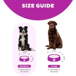 Outward Hound Fun Feeder Interactive Dog Bowl, Purple -PetSafe Shop Sale 85933 PT4. AC SS1800 V1694286100