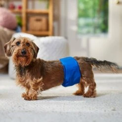 Frisco Washable Dog Diaper Male Wraps 9 Frisco Washable Dog Diaper Male Wraps -PetSafe Shop Sale 862854 PT3. AC SS1800 V1698950172