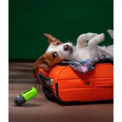 ConairPROPET LED Poop Bag Dispenser With Bungee Cord Loop 11 ConairPROPET LED Poop Bag Dispenser With Bungee Cord Loop -PetSafe Shop Sale 866502 PT4. AC SS1800 V1689632026