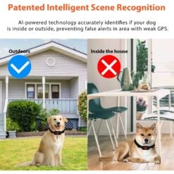 Petdiary GPS Wireless Fence System Dog Tracker, Black, Medium 15 Petdiary GPS Wireless Fence System Dog Tracker, Black, Medium -PetSafe Shop Sale 867398 PT6. AC SS1800 V1689630633