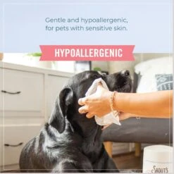 Skout's Honor Happy Puppy Probiotic Daily Use Cat & Dog Deodorizing Spray, 8-oz Bottle & Skout's Honor Dog, Cat & Small Pet Grooming Wipes, 80 Count -PetSafe Shop Sale 882566 PT7. AC SS1800 V1686083722
