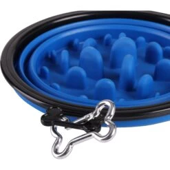 Pounce + Fetch Slow Feeder Collapsible Bowl, Assorted Colors -PetSafe Shop Sale 883374 PT2. AC SS1800 V1686249438