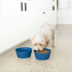 Waggo Habit Non-Skid Silicone Cat & Dog Bowl, Medium -PetSafe Shop Sale 889254 PT2. AC SS1800 V1697132261