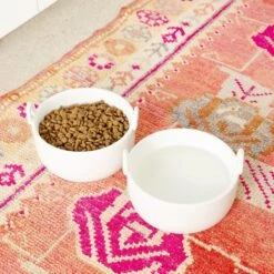 Waggo Handle It Ceramic Cat & Dog Bowl, White, Medium -PetSafe Shop Sale 889270 PT2. AC SS1800 V1697582684