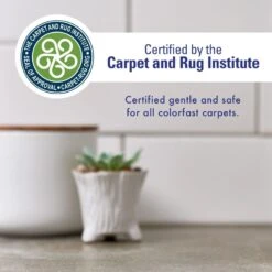 Rocco & Roxie Supply Co. Professional Strength Pet Stain & Odor Eliminator -PetSafe Shop Sale 89268 PT5. AC SS1800 V1700490869