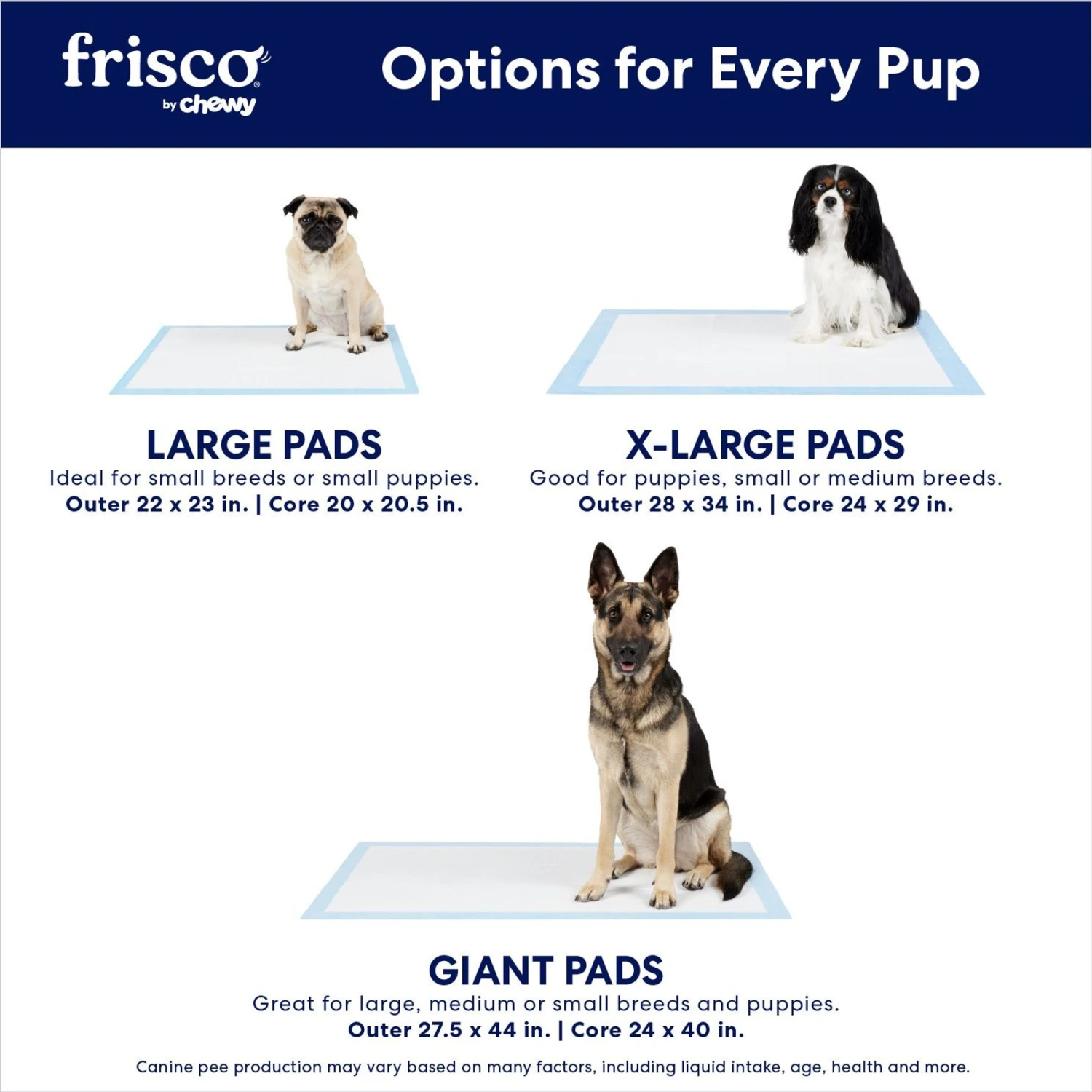 Frisco Premium Dog Training & Potty Pads 4 Frisco Premium Dog Training & Potty Pads - Image 4