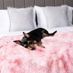 PetAmi Furry Faux Fur Waterproof Cat & Dog Blanket -PetSafe Shop Sale 902854 PT5. AC SS1800 V1687815683