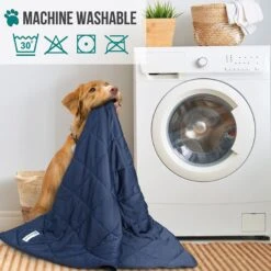 PetAmi Soft Cooling Cat & Dog Blanket 11 PetAmi Soft Cooling Cat & Dog Blanket -PetSafe Shop Sale 903118 PT4. AC SS1800 V1687881261