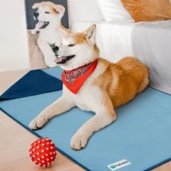 PetAmi Reversible Fleece Waterproof Cat & Dog Blanket -PetSafe Shop Sale 904070 PT4. AC SS1800 V1688392684