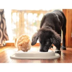 WeatherTech Double Low Stainless Steel Cat & Dog Pet Feeding System -PetSafe Shop Sale 904550 PT2. AC SS1800 V1695576269