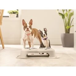 WeatherTech Double High Poly Bowl Cat & Dog Pet Feeding System -PetSafe Shop Sale 904750 PT2. AC SS1800 V1695572549