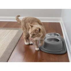 WeatherTech Double High Poly Bowl Cat & Dog Pet Feeding System -PetSafe Shop Sale 904750 PT3. AC SS1800 V1695572554