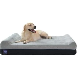 LaiFug Double Pillow Dog Bed -PetSafe Shop Sale 907254 PT4. AC SS1800 V1689095437