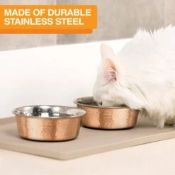 Neater Pets Brands Decorative Hammered Dog & Cat Bowl -PetSafe Shop Sale 909350 PT3. AC SS1800 V1688580431