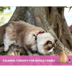 Gou Gou Pets Calming Essential Oil Blend & Diffuser Set For Anxiety Dog & Cat Spray, 15-ml Bottle 15 Gou Gou Pets Calming Essential Oil Blend & Diffuser Set For Anxiety Dog & Cat Spray, 15-ml Bottle -PetSafe Shop Sale 918086 PT6. AC SS1800 V1694442993