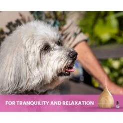 Gou Gou Pets Calming Essential Oil Blend & Diffuser Set For Anxiety Dog & Cat Spray, 15-ml Bottle 16 Gou Gou Pets Calming Essential Oil Blend & Diffuser Set For Anxiety Dog & Cat Spray, 15-ml Bottle -PetSafe Shop Sale 918086 PT7. AC SS1800 V1694442933
