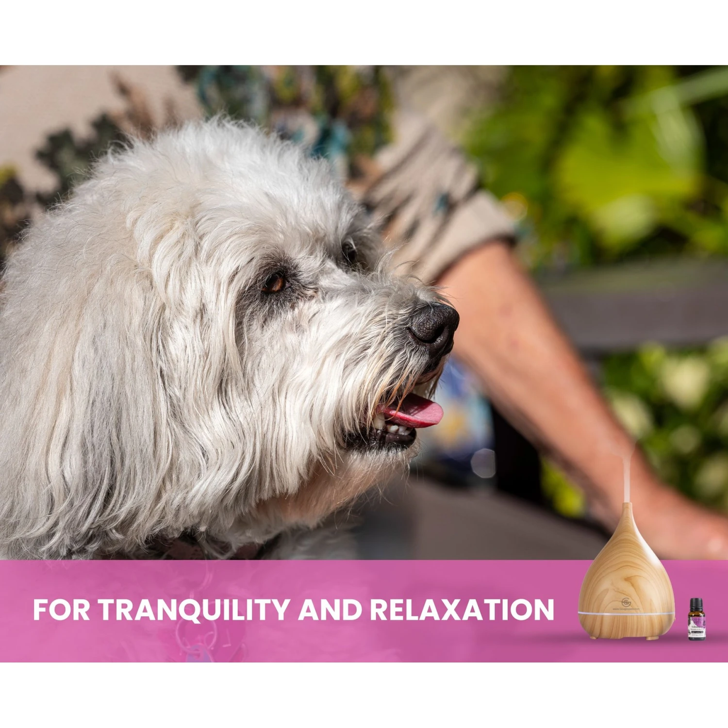 Gou Gou Pets Calming Essential Oil Blend & Diffuser Set For Anxiety Dog & Cat Spray, 15-ml Bottle 8 Gou Gou Pets Calming Essential Oil Blend & Diffuser Set For Anxiety Dog & Cat Spray, 15-ml Bottle - Image 8