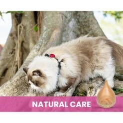 Gou Gou Pets Essential Oil Diffuser Dog & Cat Spray -PetSafe Shop Sale 918102 PT4. AC SS1800 V1694442931