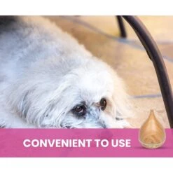 Gou Gou Pets Essential Oil Diffuser Dog & Cat Spray -PetSafe Shop Sale 918102 PT6. AC SS1800 V1694442989
