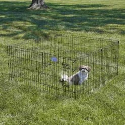 MidWest Wire Dog Exercise Pen With Step-Thru Door, Black E-Coat & MidWest Exercise Pen Top Fabric Mesh Sunscreen Accessory, Square Configuration, Black -PetSafe Shop Sale 939350 PT4. AC SS1800 V1691785902