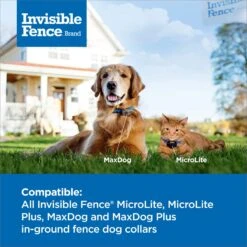 PetSafe Single Invisible Fence Battery -PetSafe Shop Sale 940510 PT2. AC SS1800 V1692306126
