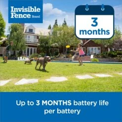 PetSafe Single Invisible Fence Battery -PetSafe Shop Sale 940510 PT3. AC SS1800 V1692306126